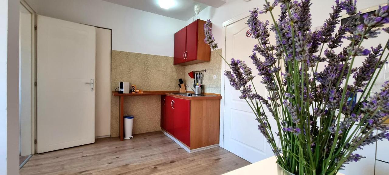 Tiny Studio Big Living Apartment Rovinj Ngoại thất bức ảnh