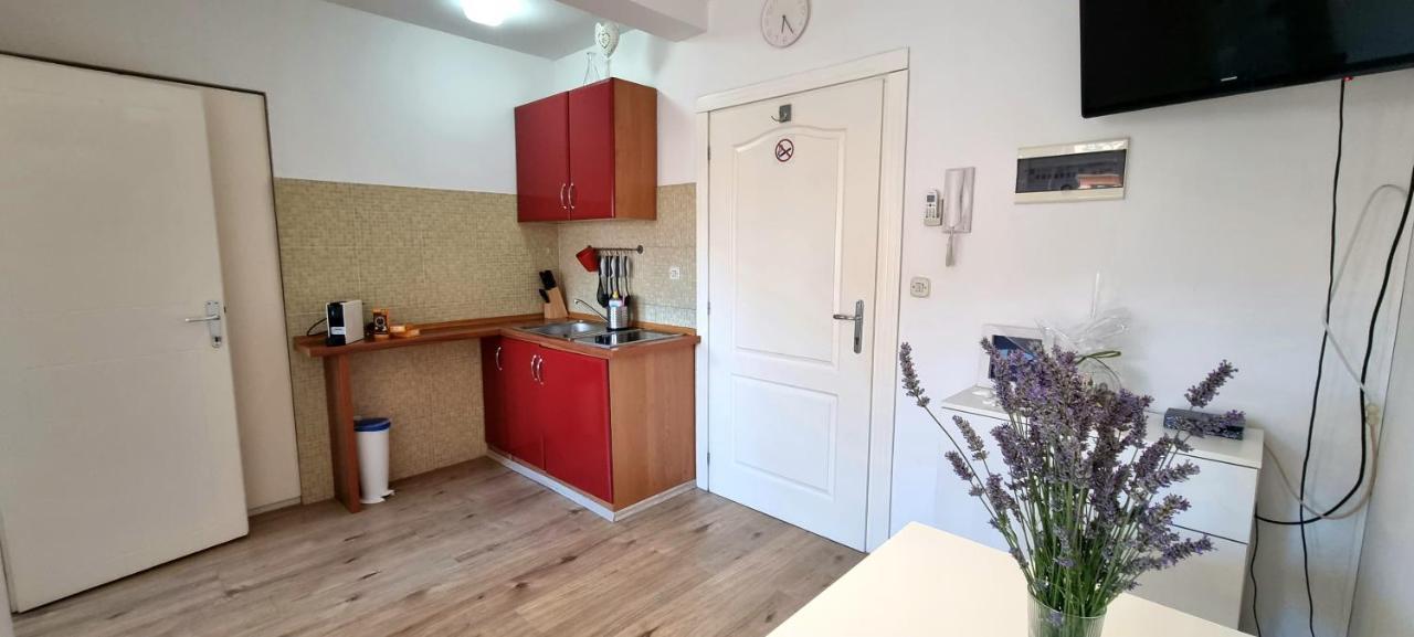 Tiny Studio Big Living Apartment Rovinj Ngoại thất bức ảnh