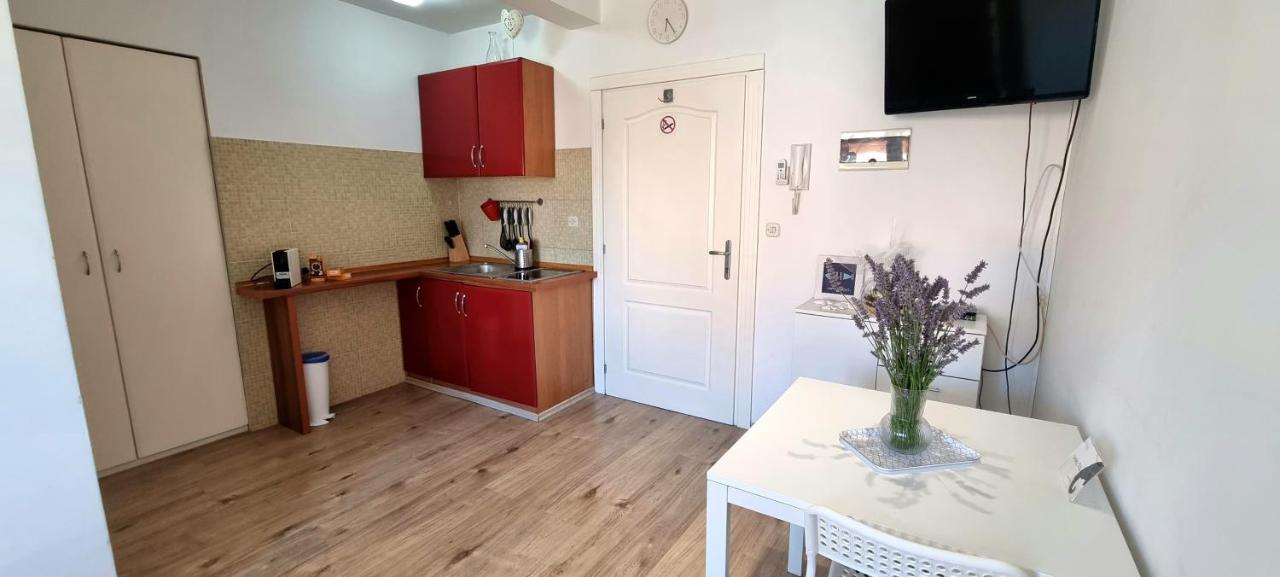 Tiny Studio Big Living Apartment Rovinj Ngoại thất bức ảnh